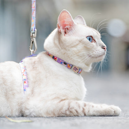 Pet Leash & Harness