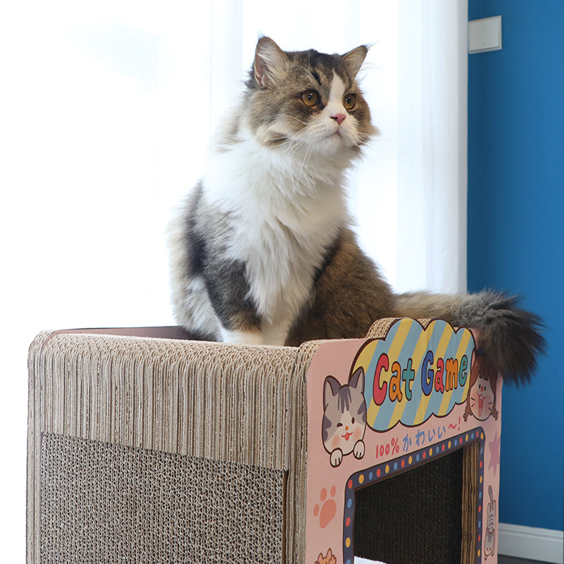 Cardboard Scratcher