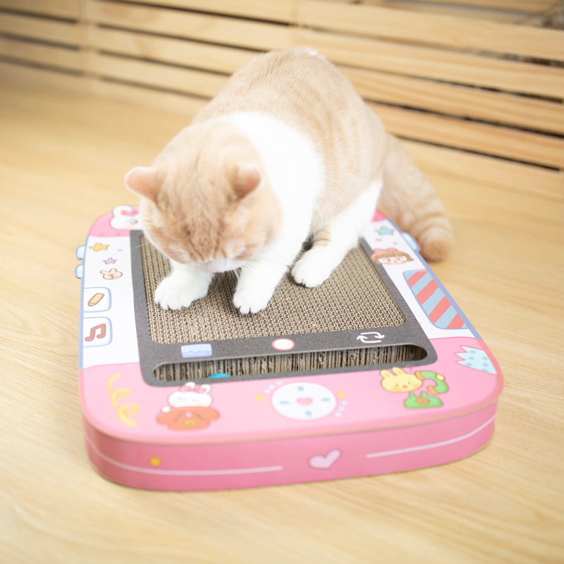 Cardboard Scratcher/Catnip Toy